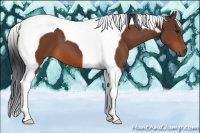 Horse Color:Bay Tobiano 