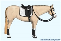 Horse Color:Gold Champagne Roan Splash Rabicano 