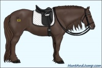 Horse Color:Liver Chestnut Frame 