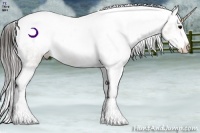 Horse Color:Brown Ice Appaloosa Rabicano