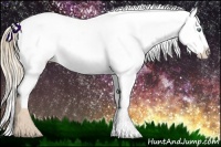 Horse Color:Perlino Ice Appaloosa Rabicano