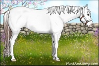 Horse Color:Brown Near Fewspot 