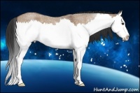 Horse Color:Bay Roan Dun Splash