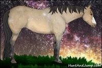Horse Color:Buckskin Dun 
