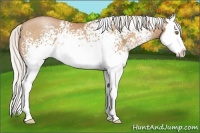 Horse Color:White Spotted Silver Bay Pearl Splash