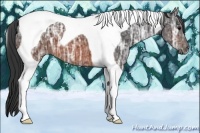 Horse Color:Brown Ice Tobiano 