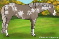 Horse Color:Silver Grullo Ice Splash 