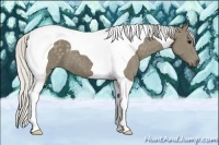 Horse Color:Silver Smoky Black Tobiano