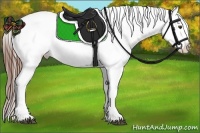 Horse Color:Chestnut Blanket 