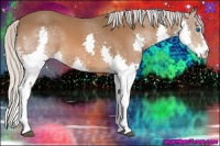 Horse Color:Silver Bay Splash 