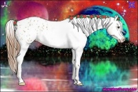 Horse Color:Chestnut Frame Appaloosa