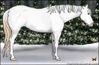 Horse Color:Grullo Pearl Tobiano Near Leopard