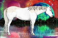 Horse Color:Perlino Dun Splash Rabicano