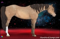 Horse Color:Amber Champagne 