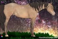 Horse Color:Amber Champagne