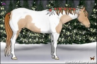 Horse Color:Red Roan Pearl Tobiano