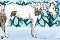 Horse Color:Plaid Chestnut Splash Tobiano