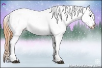 Horse Color:Buckskin Blanket 