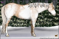 Horse Color:White Spotted Silver Bay Pearl Frame 