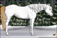 Horse Color:White Spotted Gold Champagne Pearl Dun 