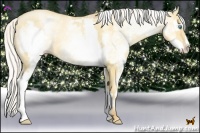 Horse Color:White Spotted Silver Classic Champagne Pearl Dun Splash Frame 