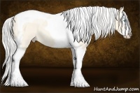 Horse Color:Silver Perlino Roan Splash Tobiano
