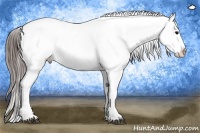 Horse Color:Black Sabino Tobiano Varnish 