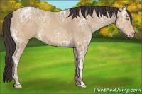 Horse Color:Sable Champagne Ice Rabicano 