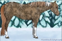 Horse Color:Red Dun Ice Tobiano 
