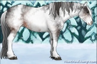 Horse Color:White Spotted Brown