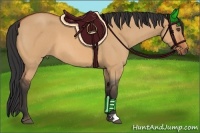 Horse Color:Bay Roan Dun 
