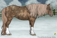 Horse Color:Gold Champagne Ice 