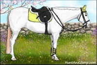 Horse Color:Bay Roan Near Leopard