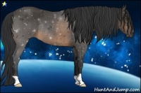 Horse Color:Buckskin Rabicano