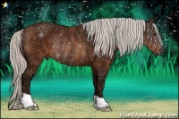 Horse Color:Silver Brown Ice Rabicano 