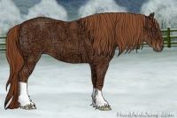 Horse Color:Chestnut Ice 