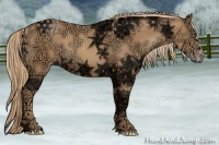 Horse Color:Gold Champagne Ice 