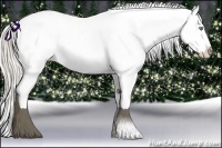 Horse Color:Cremello Ice Appaloosa
