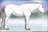 Horse Color:Brown Ice Varnish Rabicano 