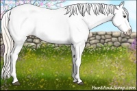 Horse Color:Silver Bay Appaloosa 