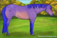 Horse Color:Watercolor Bay Roan Rabicano 