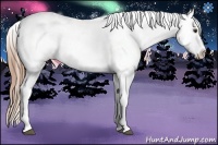 Horse Color:Chestnut Snowcap 