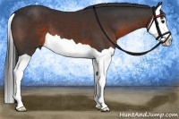 Horse Color:Brown Splash