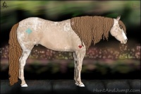 Horse Color:Liver Chestnut Ice Pearl Brindle