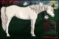 Horse Color:Perlino Sabino Brindle