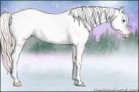 Horse Color:Silver Brown Near Fewspot