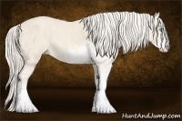 Horse Color:Cremello Sabino Brindle