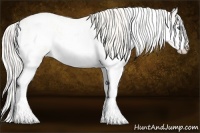Horse Color:Cremello Sabino  Brindle