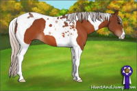 Horse Color:Silver Bay Tobiano 