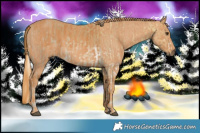 Horse Color:Palomino Ice Sabino Brindle